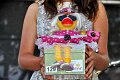 Enten   062